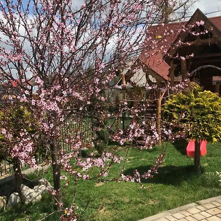 Gronik Oda ve Kahvaltı *