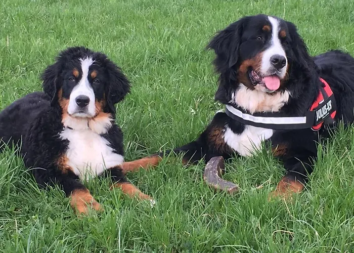 Bed and breakfast Gronik *