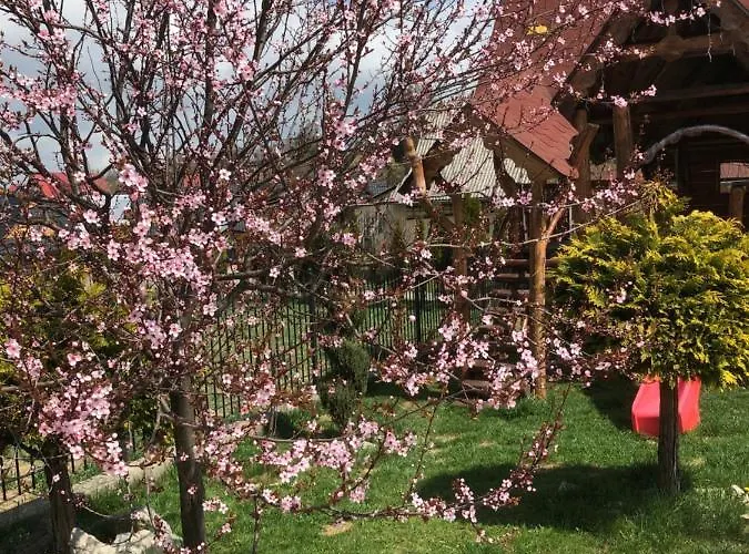 Gronik Bed & Breakfast *