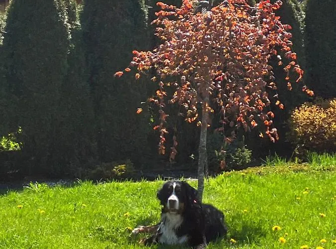 Gronik Bed and breakfast