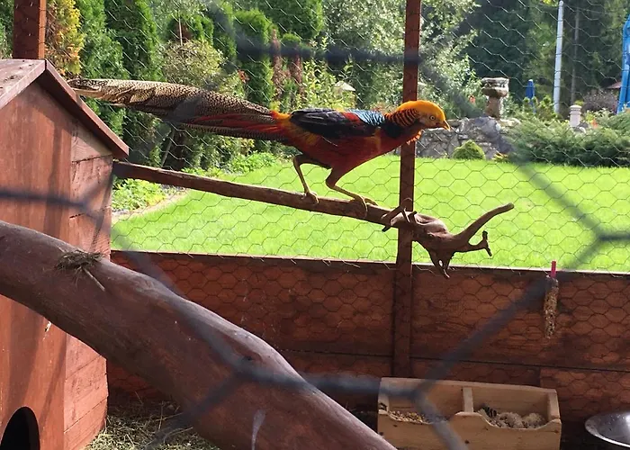 Bed & Breakfast Gronik